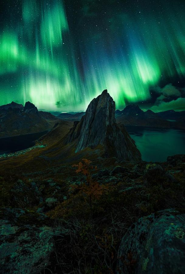 Polar Panorama Lodge Fjordgard 외부 사진